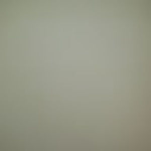 Meet your Posher, Angelo